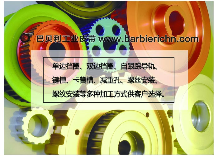导轨同步轮4 导轨同步轮4